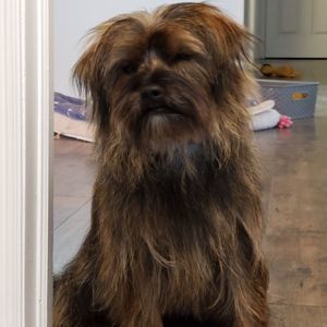 Meet your Posher, Joanne